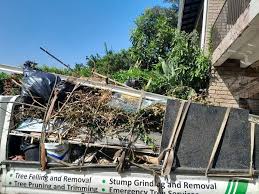 Best Attic Cleanout  in Lake Junaluska, NC